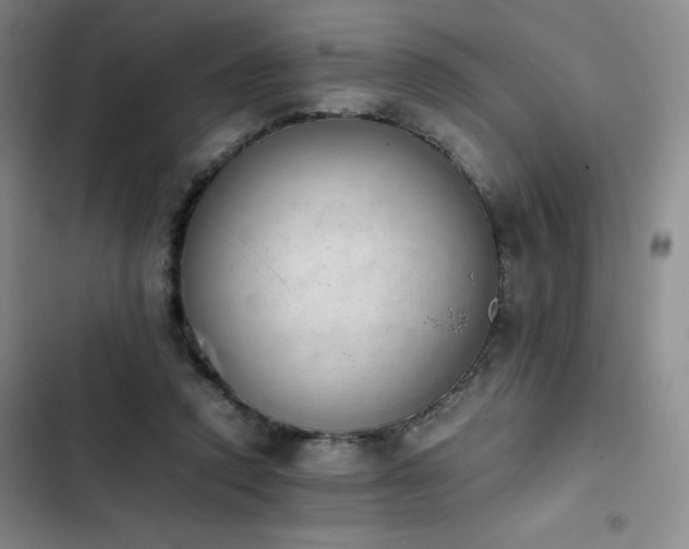 X0000102860354200808251231