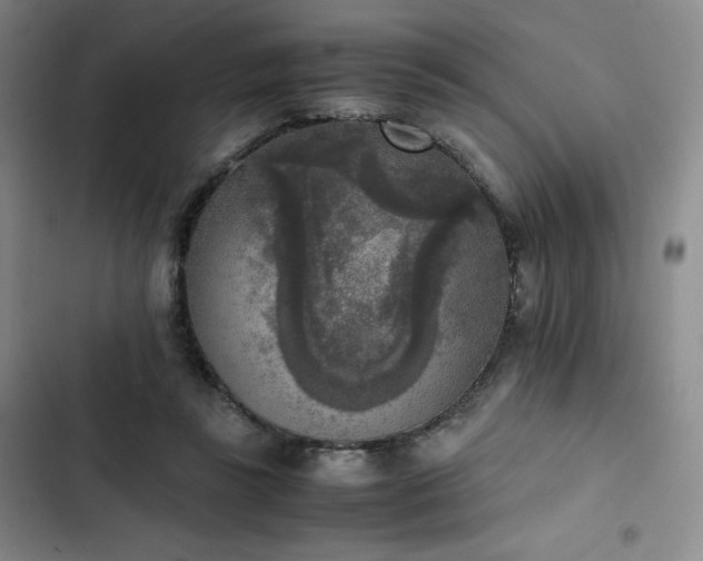 X0000102860355200808251231