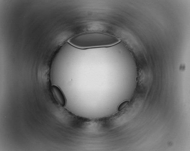 X0000102860356200808251231