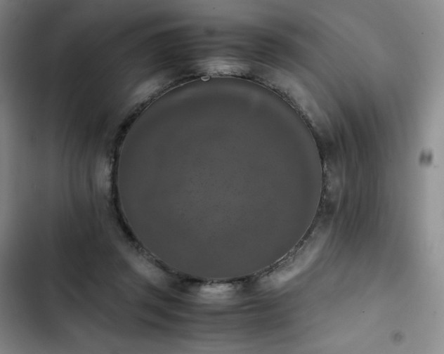 X0000102860357200808251231