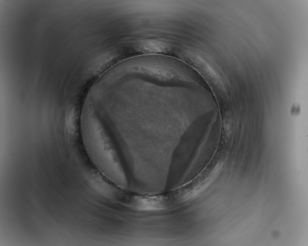 X0000102860359200808251232