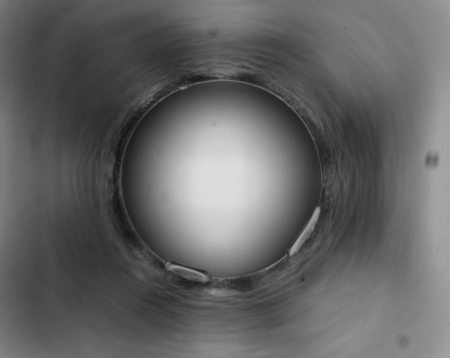 X0000102860360200808251232