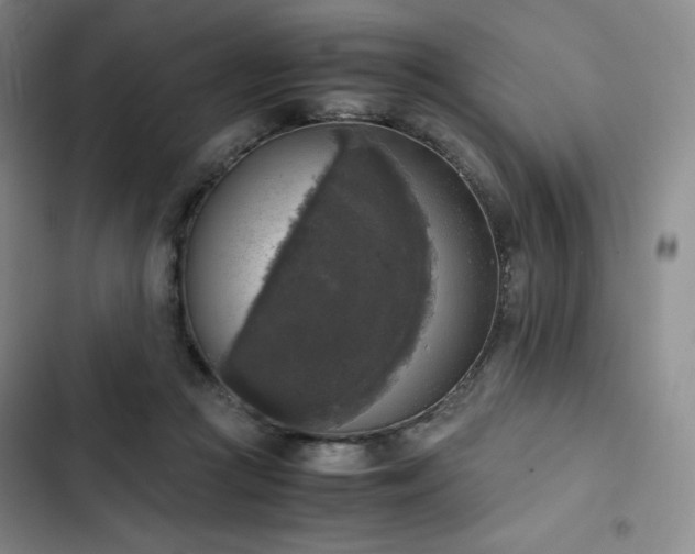 X0000102860361200808251232