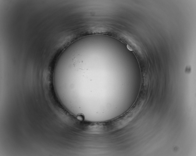 X0000102860362200808251232