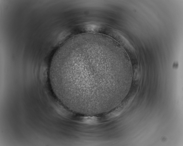 X0000102860363200808251232