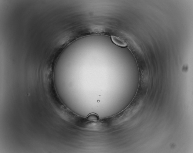 X0000102860364200808251232