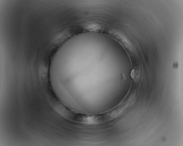 X0000102860365200808251232