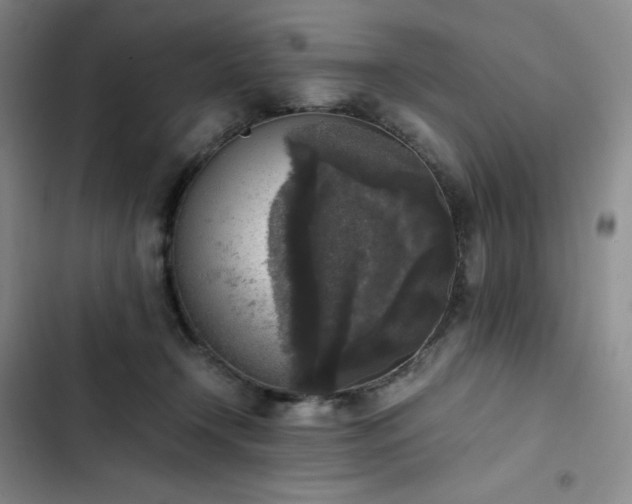 X0000102860366200808251232