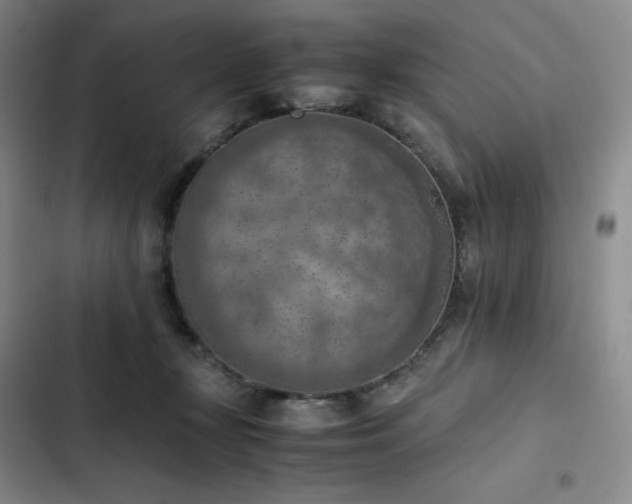 X0000102860367200808251232