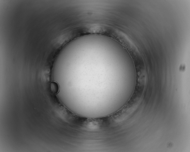 X0000102860368200808251232