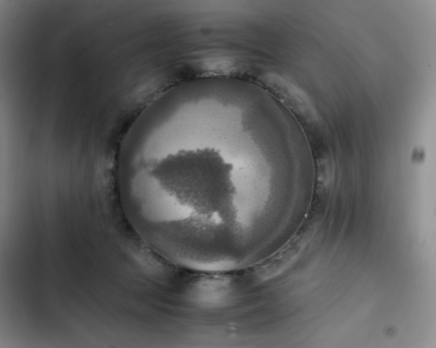 X0000102860369200808251232