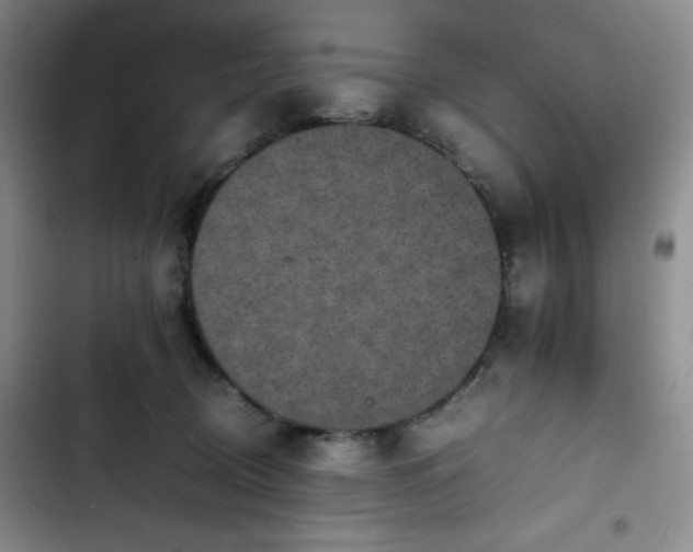 X0000102860370200808251232