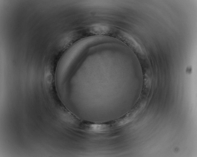 X0000102860371200808251232