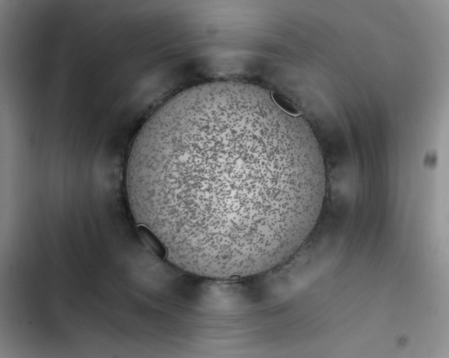 X0000102860372200808251232