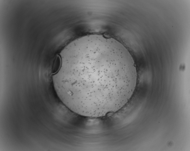 X0000102860376200808251232