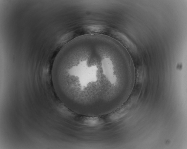 X0000102860377200808251232