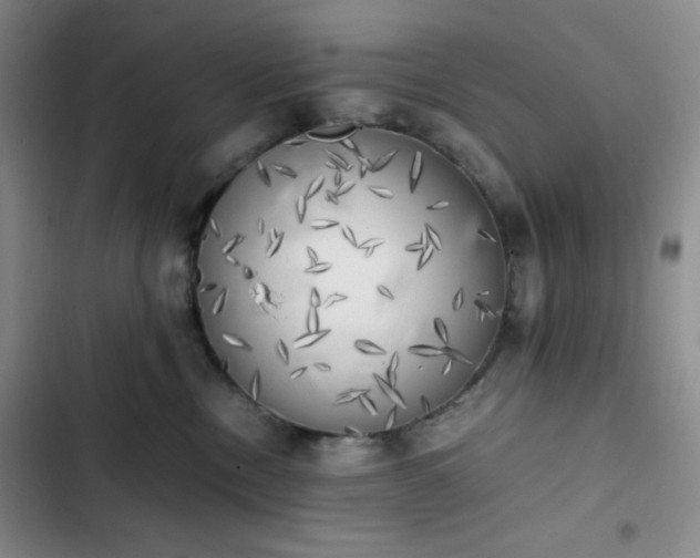 X0000102860378200808251232