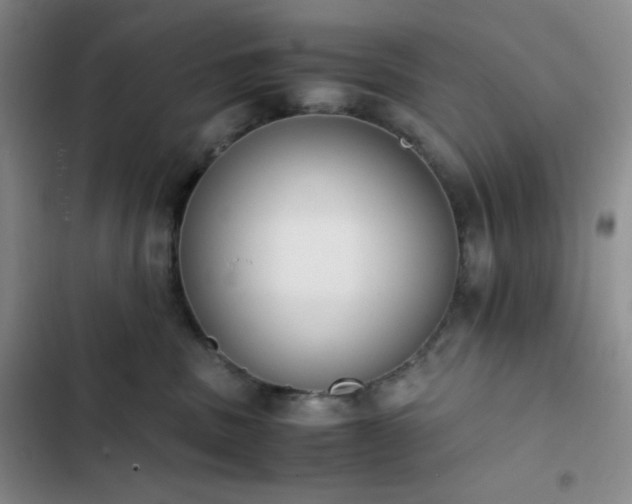 X0000102860379200808251232