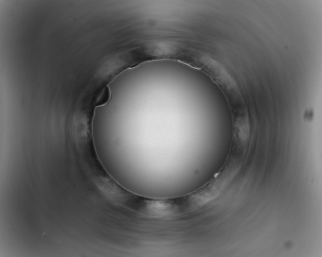 X0000102860380200808251232