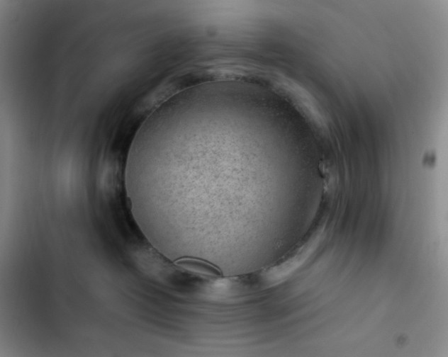 X0000102860382200808251232