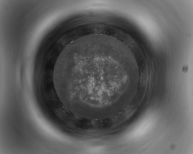 X0000102860383200808251232