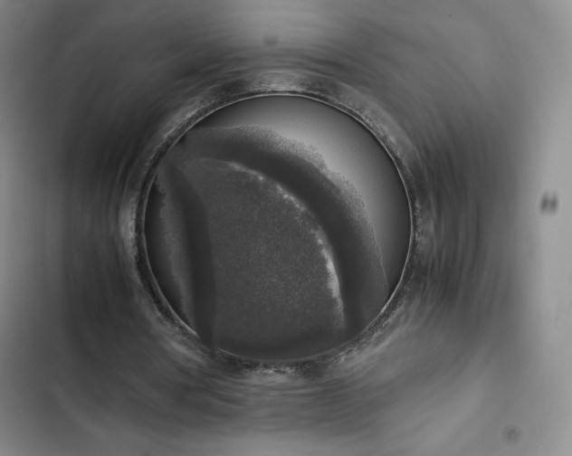 X0000102860386200808251231