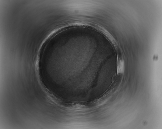 X0000102860387200808251231