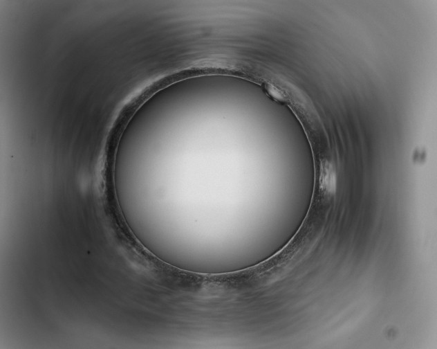 X0000102860388200808251231