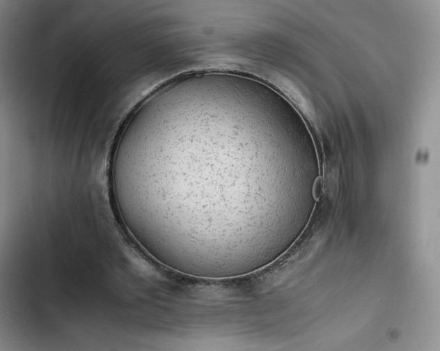 X0000102860389200808251231