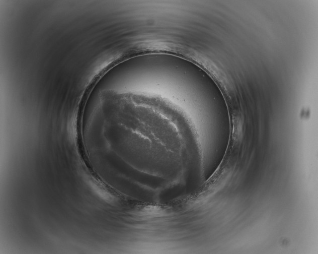 X0000102860390200808251231