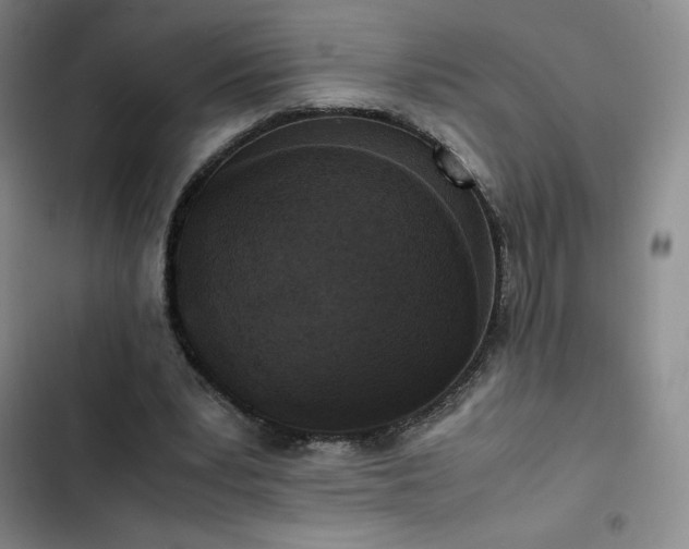 X0000102860391200808251231