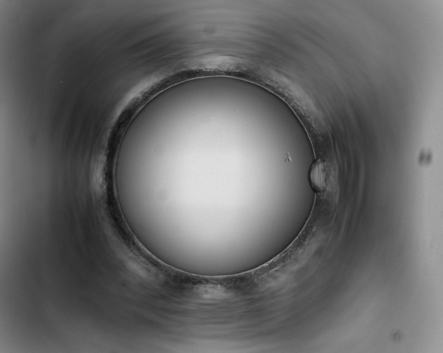 X0000102860392200808251231