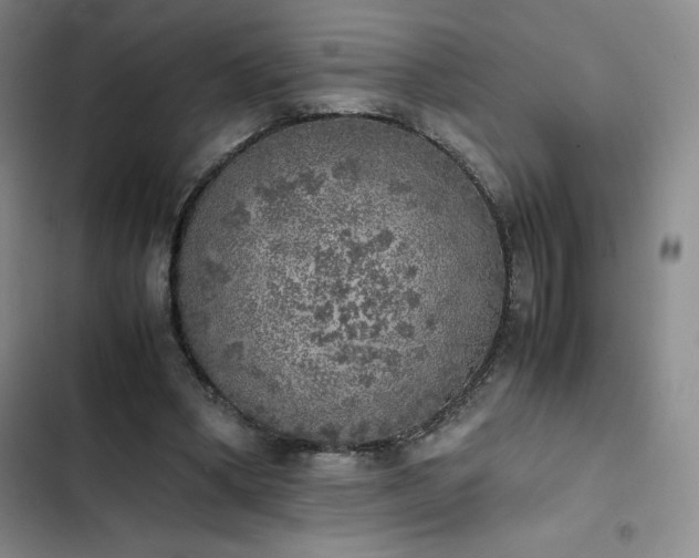 X0000102860394200808251231