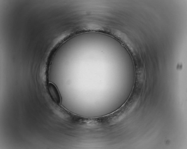 X0000102860395200808251231