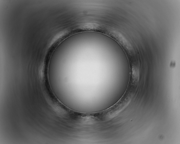 X0000102860396200808251231