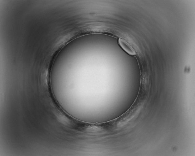 X0000102860397200808251231