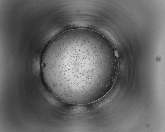X0000102860398200808251231