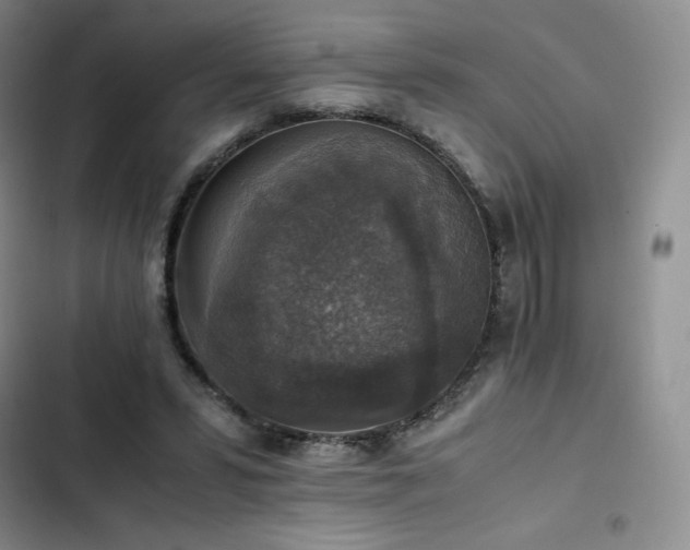 X0000102860399200808251231