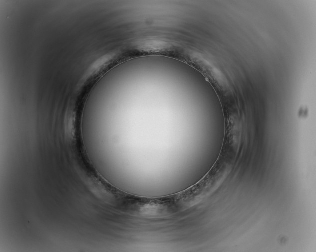 X0000102860400200808251231