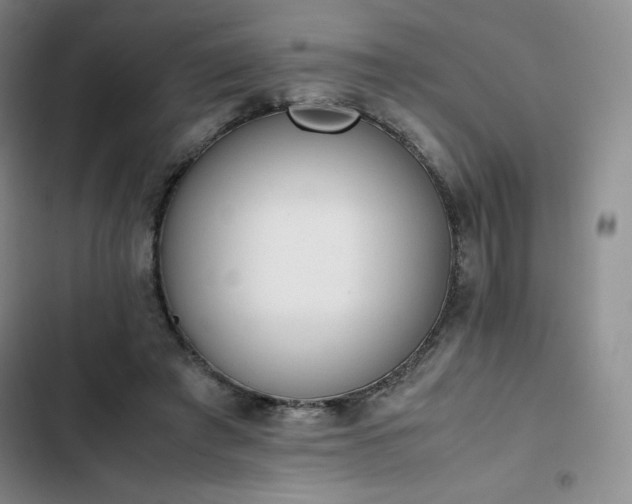 X0000102860401200808251231