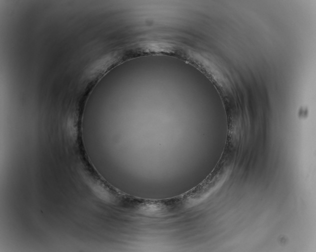 X0000102860402200808251231