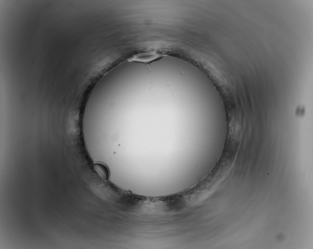 X0000102860403200808251231