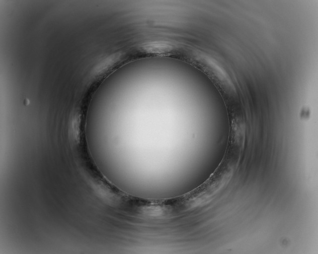 X0000102860404200808251231