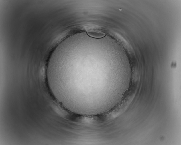 X0000102860405200808251231