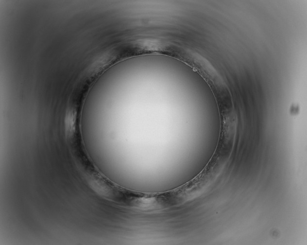 X0000102860406200808251231