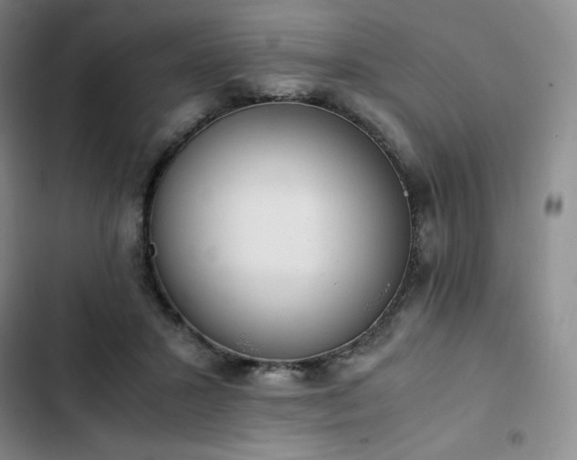 X0000102860407200808251231