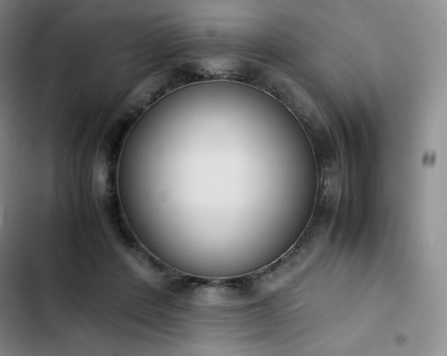 X0000102860408200808251231