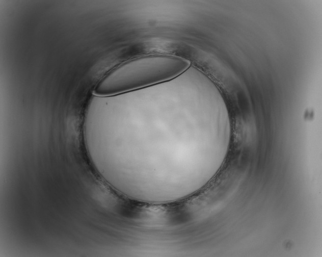 X0000102860409200808251231