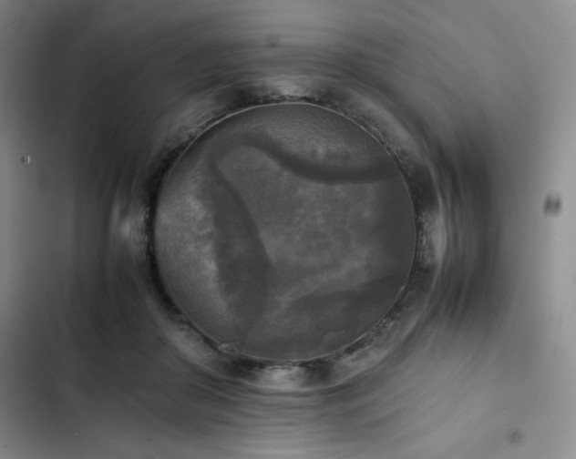 X0000102860410200808251231