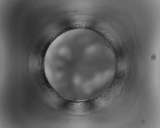 X0000102860411200808251231